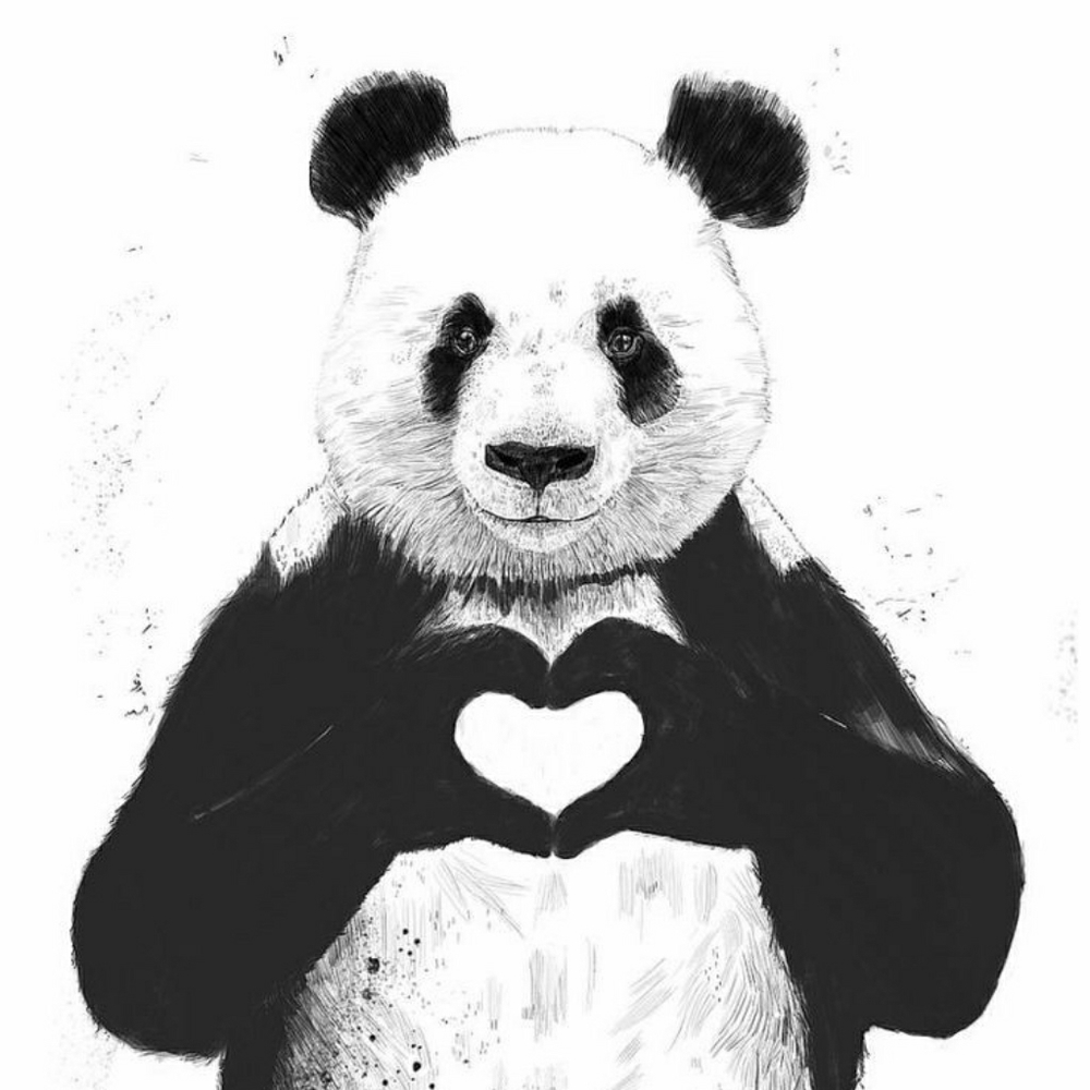 Meet your Posher, Manda